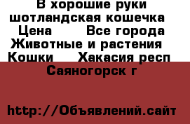 В хорошие руки шотландская кошечка › Цена ­ 7 - Все города Животные и растения » Кошки   . Хакасия респ.,Саяногорск г.